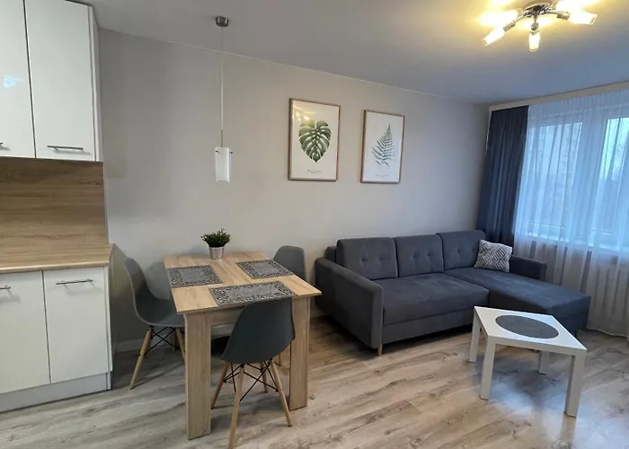 Mieszkanie W Centrum Z Oddzielna Sypialnia